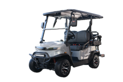 Denago EV Carts for sale in Amarillo, TX